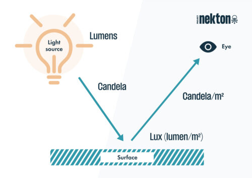 Lux, Lumen ou LOR ? Les 20 Termes les Plus Importants de l’Eclairage Expliqués - Project Nekton