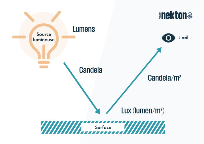 Lumen vs Candela vs Lux - Project Nekton