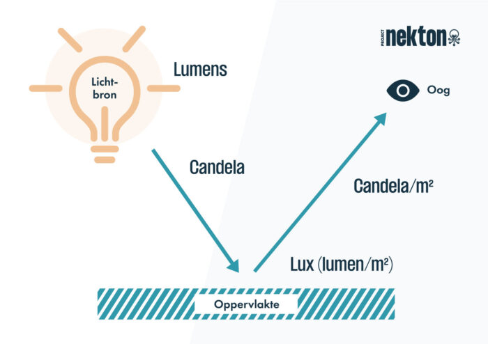 Lumen vs Candela vs Lux - Verlichtingstermen uitgelegd - Project Nekton